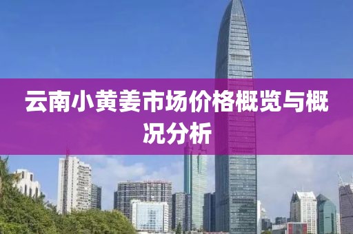 云南小黃姜市場價格概覽與概況分析
