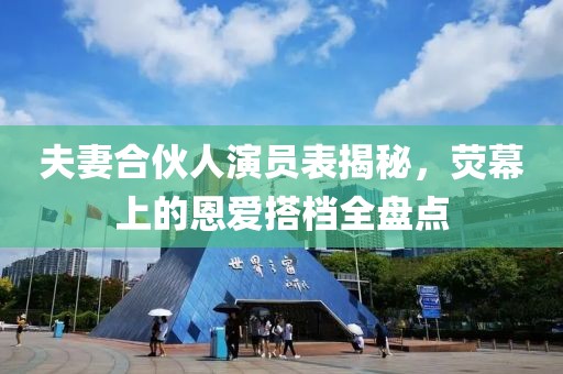 夫妻合伙人演員表揭秘，熒幕上的恩愛搭檔全盤點