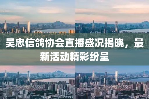 吳忠信鴿協(xié)會直播盛況揭曉，最新活動精彩紛呈
