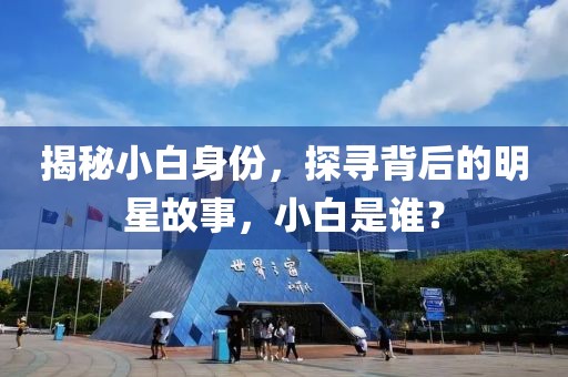 揭秘小白身份，探尋背后的明星故事，小白是誰(shuí)？