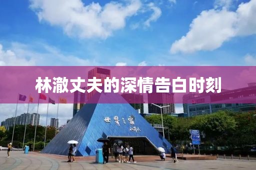 林澈丈夫的深情告白時(shí)刻