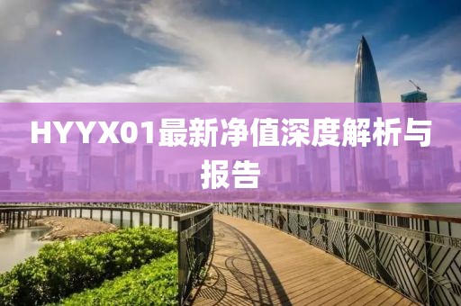 HYYX01最新凈值深度解析與報告