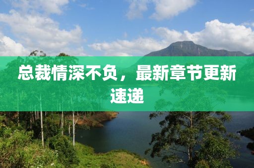 總裁情深不負(fù)，最新章節(jié)更新速遞