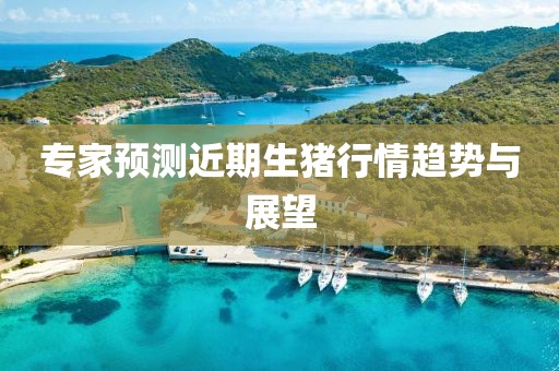 新聞動(dòng)態(tài)