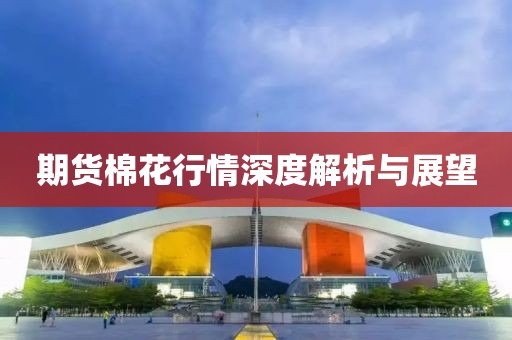 期貨棉花行情深度解析與展望