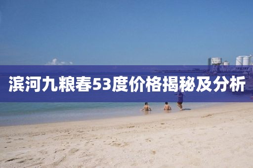 濱河九糧春53度價(jià)格揭秘及分析