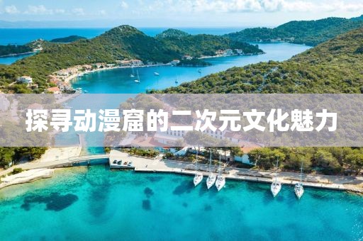 探尋動(dòng)漫窟的二次元文化魅力
