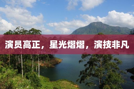 演員高正，星光熠熠，演技非凡