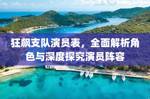 狂飆支隊(duì)演員表，全面解析角色與深度探究演員陣容