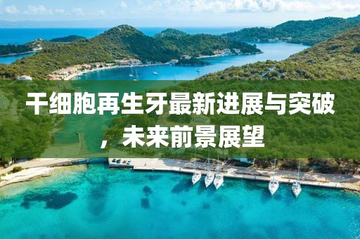 干細胞再生牙最新進展與突破，未來前景展望