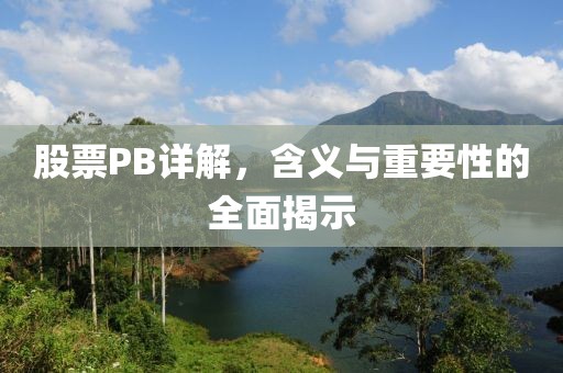 股票P(pán)B詳解，含義與重要性的全面揭示