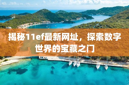 揭秘11ef最新網(wǎng)址，探索數(shù)字世界的寶藏之門
