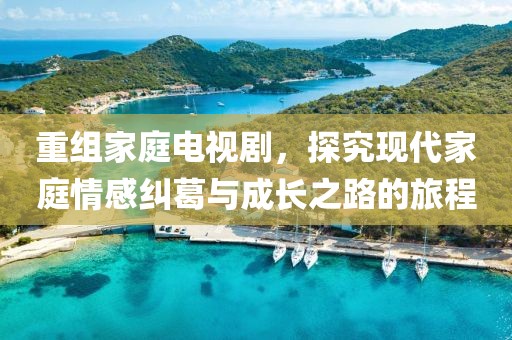 重組家庭電視劇，探究現(xiàn)代家庭情感糾葛與成長之路的旅程