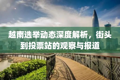 越南選舉動(dòng)態(tài)深度解析，街頭到投票站的觀察與報(bào)道