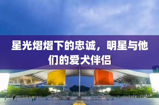 星光熠熠下的忠誠，明星與他們的愛犬伴侶