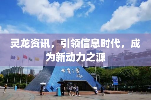 靈龍資訊，引領(lǐng)信息時代，成為新動力之源