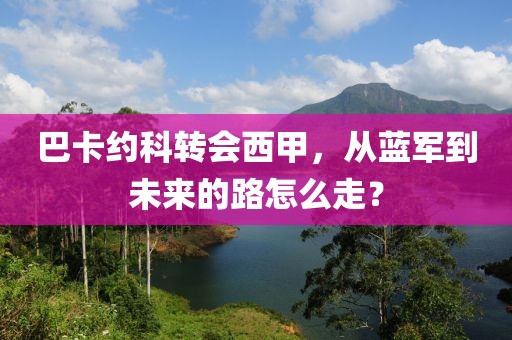 巴卡約科轉(zhuǎn)會(huì)西甲，從藍(lán)軍到未來(lái)的路怎么走？
