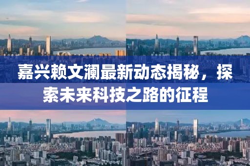 嘉興賴(lài)文瀾最新動(dòng)態(tài)揭秘，探索未來(lái)科技之路的征程