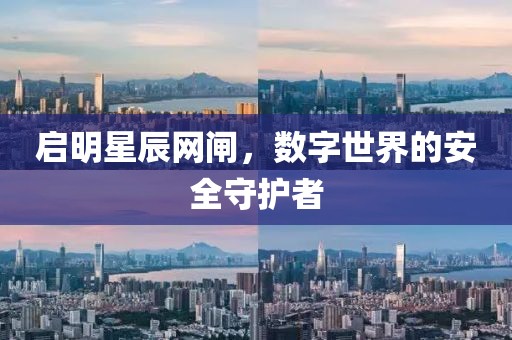 啟明星辰網(wǎng)閘，數(shù)字世界的安全守護(hù)者