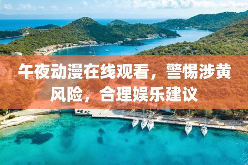 午夜動漫在線觀看，警惕涉黃風險，合理娛樂建議