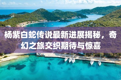 2025年1月 第36頁