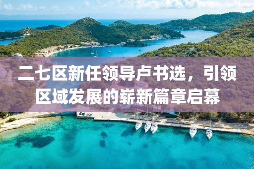 二七區(qū)新任領(lǐng)導(dǎo)盧書選，引領(lǐng)區(qū)域發(fā)展的嶄新篇章啟幕
