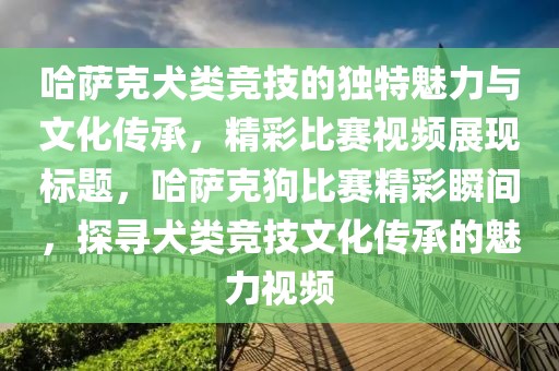 哈薩克犬類競技的獨特魅力與文化傳承，精彩比賽視頻展現標題，哈薩克狗比賽精彩瞬間，探尋犬類競技文化傳承的魅力視頻