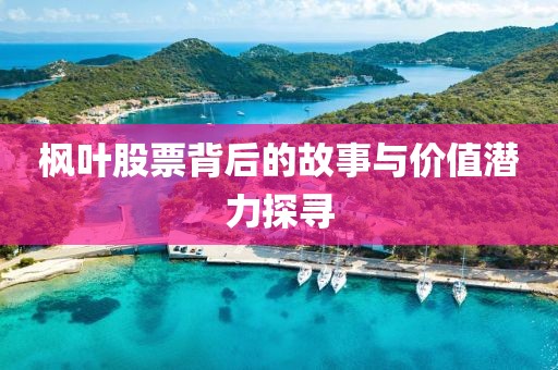 楓葉股票背后的故事與價(jià)值潛力探尋