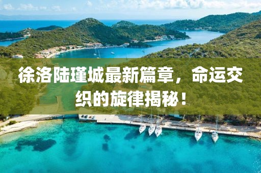 徐洛陸瑾城最新篇章，命運(yùn)交織的旋律揭秘！