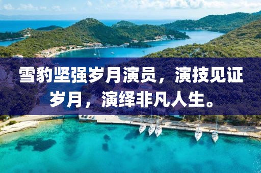 雪豹堅強(qiáng)歲月演員，演技見證歲月，演繹非凡人生。