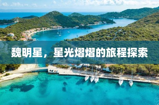 魏明星，星光熠熠的旅程探索