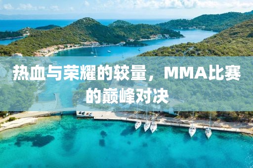 熱血與榮耀的較量，MMA比賽的巔峰對(duì)決