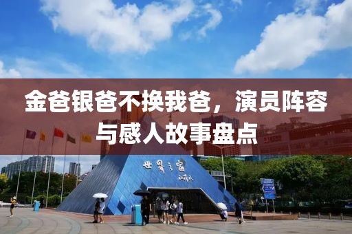 金爸銀爸不換我爸，演員陣容與感人故事盤(pán)點(diǎn)