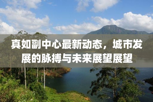 真如副中心最新動態(tài)，城市發(fā)展的脈搏與未來展望展望