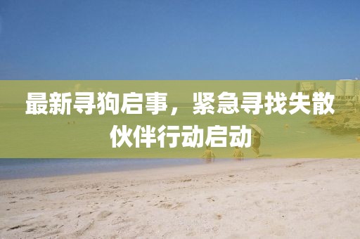 最新尋狗啟事，緊急尋找失散伙伴行動啟動