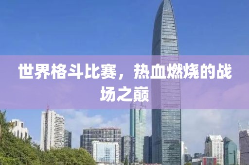 世界格斗比賽，熱血燃燒的戰(zhàn)場(chǎng)之巔