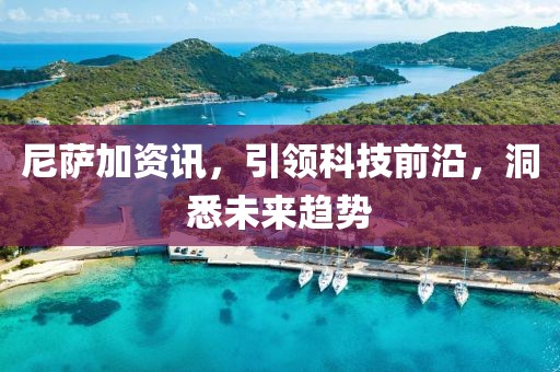 尼薩加資訊，引領(lǐng)科技前沿，洞悉未來趨勢