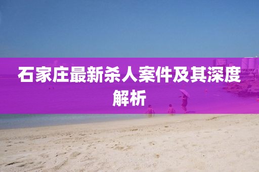 石家莊最新殺人案件及其深度解析