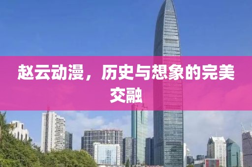 趙云動漫，歷史與想象的完美交融