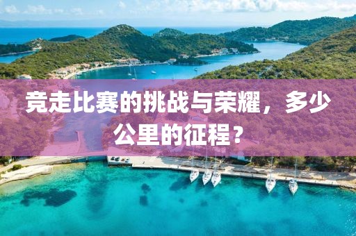競走比賽的挑戰(zhàn)與榮耀，多少公里的征程？