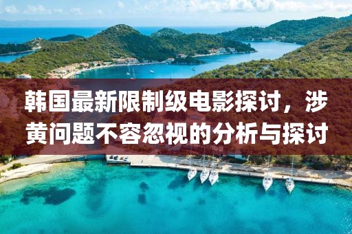 韓國最新限制級電影探討，涉黃問題不容忽視的分析與探討