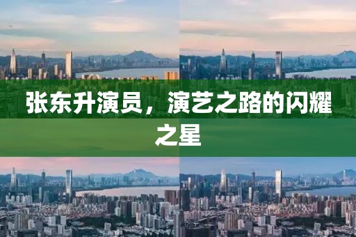 張東升演員，演藝之路的閃耀之星
