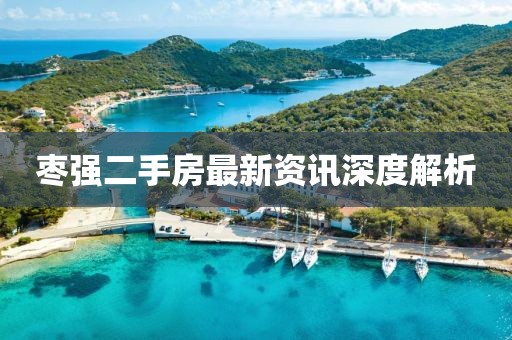 棗強二手房最新資訊深度解析