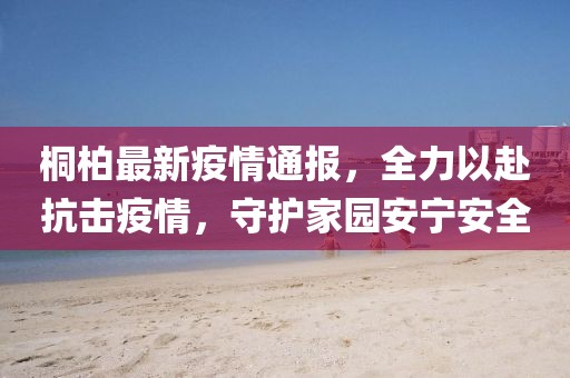 桐柏最新疫情通報，全力以赴抗擊疫情，守護家園安寧安全