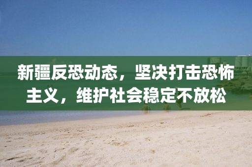 新疆反恐動態(tài)，堅決打擊恐怖主義，維護社會穩(wěn)定不放松