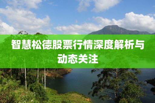 智慧松德股票行情深度解析與動(dòng)態(tài)關(guān)注