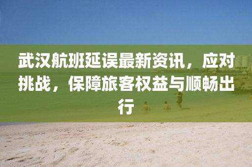 武漢航班延誤最新資訊，應對挑戰(zhàn)，保障旅客權益與順暢出行