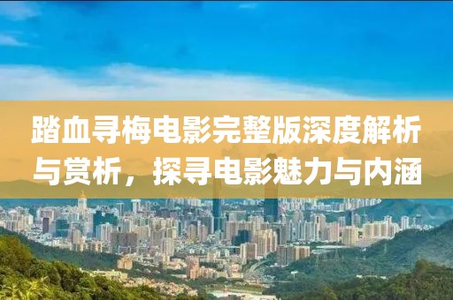 踏血尋梅電影完整版深度解析與賞析，探尋電影魅力與內涵
