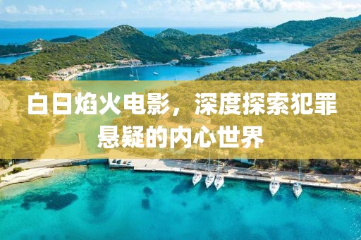 白日焰火電影，深度探索犯罪懸疑的內(nèi)心世界