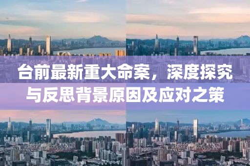 臺(tái)前最新重大命案，深度探究與反思背景原因及應(yīng)對(duì)之策